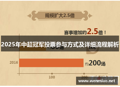2025年中超冠军投票参与方式及详细流程解析