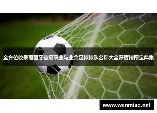 全方位收录葡萄牙各级职业与业余足球球队名称大全深度指南宝典集