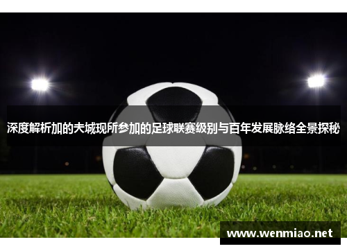 深度解析加的夫城现所参加的足球联赛级别与百年发展脉络全景探秘