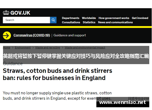 英超或将暂按下暂停键掌握关键应对技巧与风险应对全攻略指南汇编